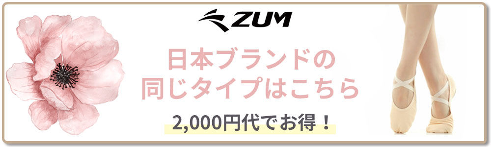 同じタイプはこちらZBS006