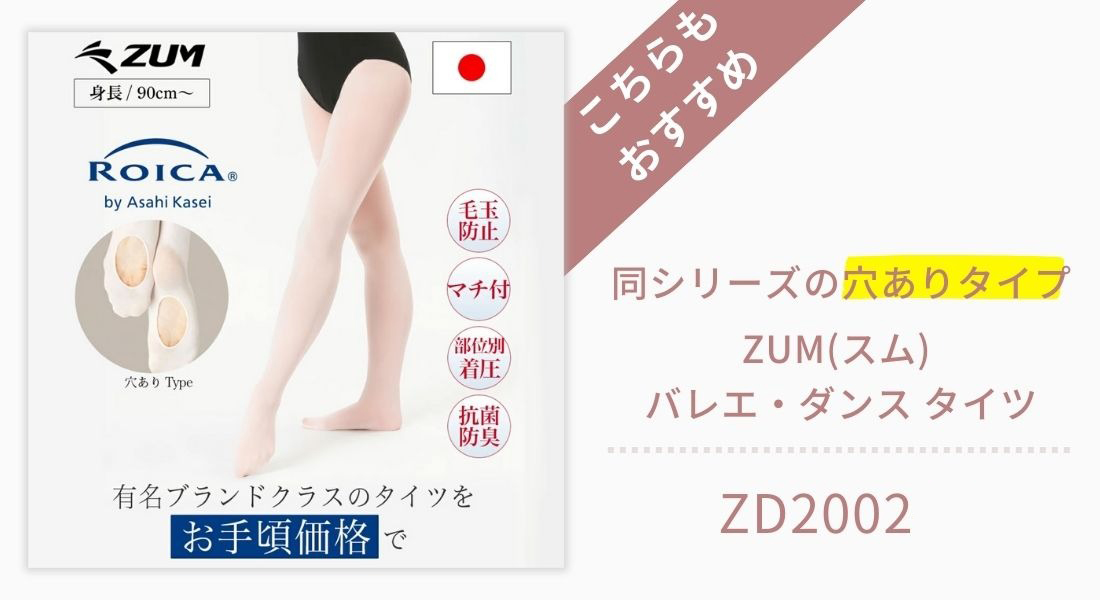 ZD2002はこちら