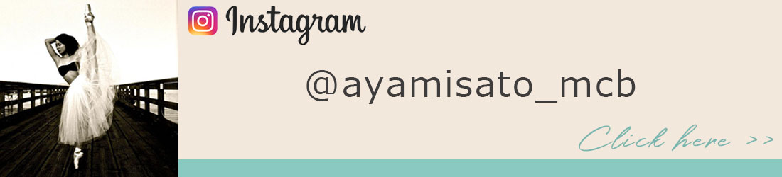 アンバサダーインスタバナー