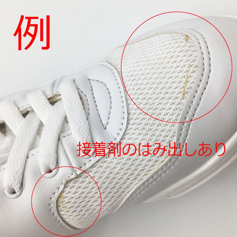 ダンススニーカーダンススニーカーダンスシューズ白黒チアリーディングチアダンスジャズシューズレディースメンズキッズヒップホップジャズダンスズンバフィットネスブラックホワイトZUMスムZDS750楽天【期間限定特価】